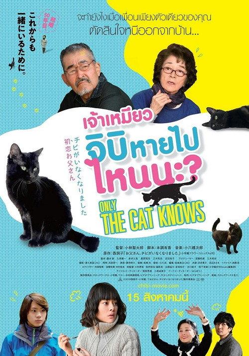 เจ้าเหมียวจิบิหายไปไหนนะ?