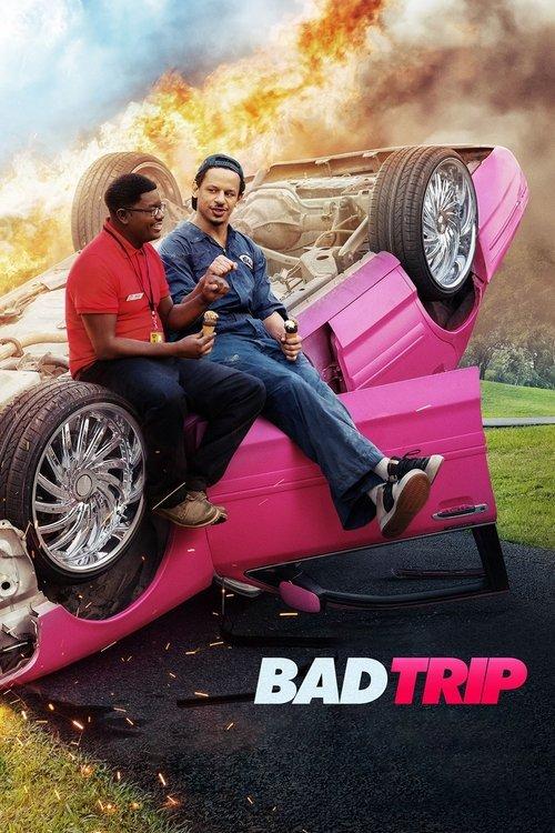 Bad Trip: ทริปป่วนคู่อำ