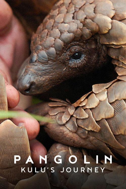 Pangolin: การเดินทางของคูลู