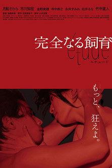 Perfect Education Etude
